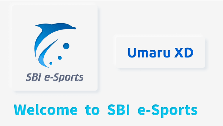 【PUBG Mobile部門】マネージャの画像